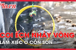 Video: Coi ếch nhảy vòng làm xiếc ở Cần Thơ 