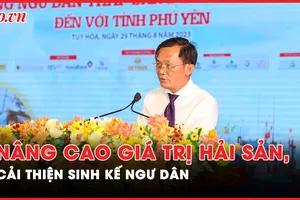 Cùng Phú Yên nâng cao giá trị hải sản, cải thiện sinh kế cho bà con ngư dân