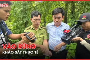 Hình ảnh đoàn công tác lội suối giữa rừng để khảo sát dự án làm hồ chứa nước Ka Pét