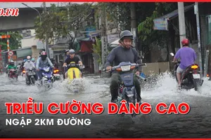 Video: Người dân TP.HCM hì hục dắt xe qua đoạn đường ngập ngày triều cường dâng cao 