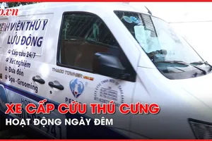 Video: Xe cấp cứu lưu động dành cho thú cưng hoạt động ngày đêm