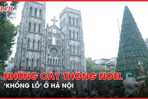 Video: Cận cảnh những cây thông noel 'khổng lồ' ở Hà Nội phục vụ dịp Giáng sinh 2023