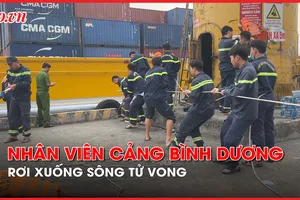 Video: Đang di chuyển từ tàu về bờ cảng, một nhân viên rơi xuống sông tử vong