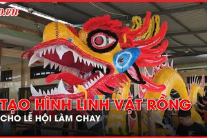 Video: Người dân Long An tất bật chuẩn bị cho 'Tết thứ hai'
