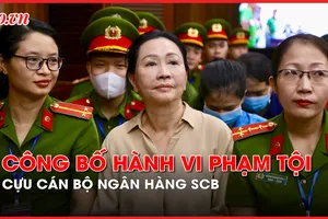 Video: Xét xử vụ Vạn Thịnh Phát, VKS công bố hành vi phạm tội các thuộc cấp của bà Trương Mỹ Lan