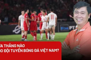 Việt Nam - Indonesia: ‘Ván cờ’ quyết định của HLV Troussier trong lòng người hâm mộ
