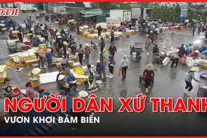 Ngư dân xứ Thanh vươn khơi bám biển, làm giàu từ biển