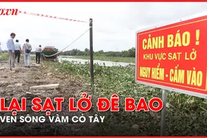 Long An: Người dân lo sợ trước nạn sạt lở đê bao ven sông Vàm Cỏ Tây 