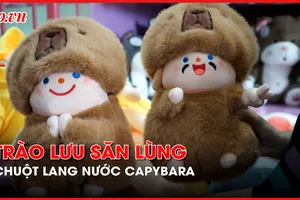 Giới trẻ 'phát cuồng' vì chuột lang nước Capybara