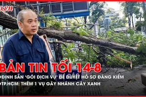 Bản tin tối 14-8: Quy định sẵn 'gói dịch vụ' để bao duyệt hồ sơ đăng kiểm; Thêm 1 vụ gãy nhánh cây xanh tại TP.HCM