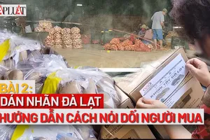 VIDEO ĐIỀU TRA- BÀI 2: Dán nhãn Đà Lạt, hướng dẫn cách nói dối người mua