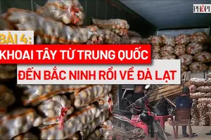 VIDEO ĐIỀU TRA - Bài 4: Khoai tây Trung Quốc đến Bắc Ninh rồi về Đà Lạt