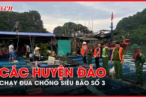 Các huyện đảo ở Quảng Ninh, Hải Phòng chạy đua chống siêu bão số 3