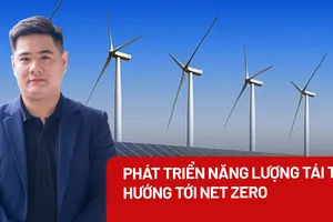 Điều kiện nào để Việt Nam phát triển năng lượng tái tạo, hướng tới Net Zero?