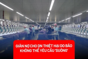 Cơ cấu lại thời hạn trả nợ cho DN gặp khó khăn do bão số 3: Không thể yêu cầu ‘suông’