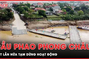Cầu phao Phong Châu được 'cắt' khẩn cấp, giữ an toàn cho người dân 