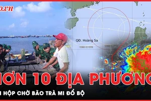 Cảnh báo nóng đến hơn 10 địa phương có nguy cơ ảnh hưởng bởi bão Trà Mi