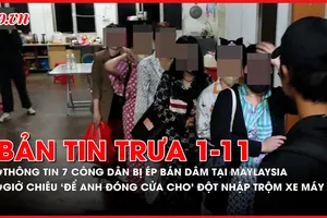 Bản tin trưa 1-11: Xác định nhân thân 7 công dân bị ép bán dâm tại Malaysia; Bắt nhóm trộm xe máy với chiêu trò 'để anh đóng cửa cho'