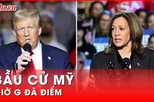 Cập nhật bầu cử Mỹ: Giờ G đã điểm 