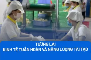 Năng lượng tái tạo và kinh tế tuần hoàn: Trụ cột của tương lai