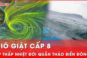 Áp thấp nhiệt đới giật cấp 8, tiến gần quần đảo Trường Sa
