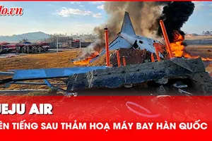 Video: Hãng hàng không Jeju Air tuyên bố nỗ lực xử lý thảm kịch máy bay