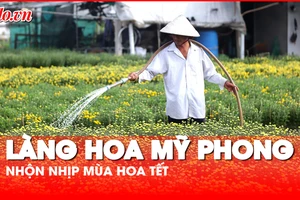 Làng hoa Mỹ Phong, Tiền Giang nhộn nhịp vào vụ Tết