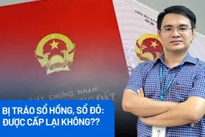Bị tráo sổ hồng, sổ đỏ: Làm sao để không sập bẫy, xin cấp lại được không?