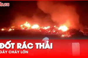 Video: Đốt rác thải gây cháy lớn, uy hiếp cả khu dân cư