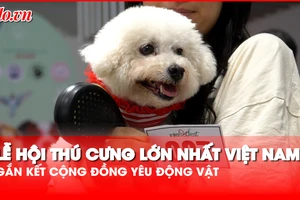 Hơn 13.000 người tham dự Lễ hội Thú cưng lớn nhất Việt Nam