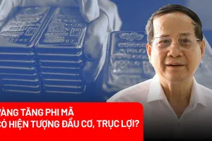 Vàng tăng phi mã: Có hay không hiện tượng đầu cơ, làm giá để trục lợi?