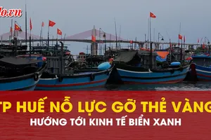 TP Huế nỗ lực gỡ thẻ vàng IUU, hướng tới kinh tế biển xanh