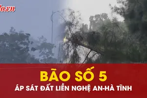 Nóng: Bão số 5 bắt đầu gây mưa to, gió lớn tại Nghệ An - Hà Tĩnh