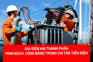 Chuyên gia: Giá điện hai thành phần giúp minh bạch, công bằng trong chi trả tiền điện