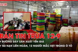 Bản tin trưa 12-9: Phá đường dây sản xuất yến giả, lừa dối khách hàng; Tai nạn liên hoàn trên cao tốc khiến 12 người mắc kẹt trong ô tô
