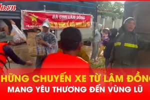 Vượt ngàn cây số, những chuyến xe rau củ sạch từ Lâm Đồng mang yêu thương đến vùng lũ