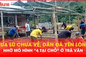 Điểm sáng mô hình '4 tại chỗ' ở vùng cao Trà Vân
