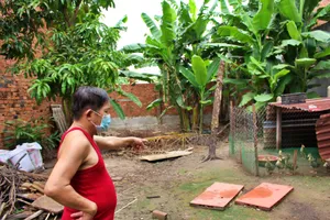 Trộm viếng 5 lần trong 1 tháng, gia chủ mất sạch gà, thỏ, bồ câu…