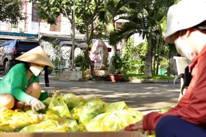 TP.HCM: Xóm Công viên Hạnh Phúc gác việc nhà, giúp người khó ngặt