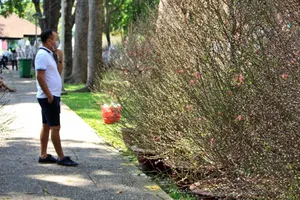 Lo thưởng tết thấp, nhiều người chần chừ không dám về quê