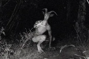 Xôn xao vì tin đồn xuất hiện ‘quái vật người dê’ bí ẩn