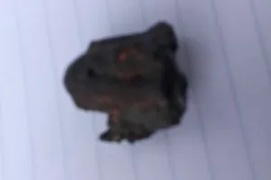 Ghi nhận người đầu tiên thiệt mạng do bị thiên thạch rơi trúng