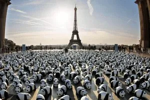 1.600 chú gấu trúc sắp ‘đổ bộ’ vào Thái Lan