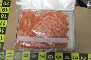 Mỹ bắt hai sinh viên gốc Việt 'dính' tới đường dây buôn thuốc lắc