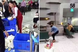 'Hỗn chiến' sân bay Trung Quốc: Hành khách ẩu đả với cảnh sát