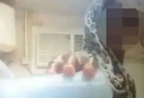 Người giúp việc lén đổ nước tiểu vào nước hoa quả của chủ?