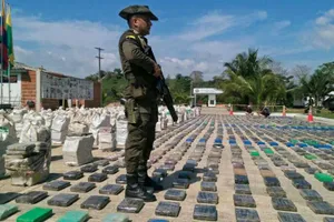Cảnh sát Columbia 'lập kỷ lục', thu giữ 8 tấn cocaine
