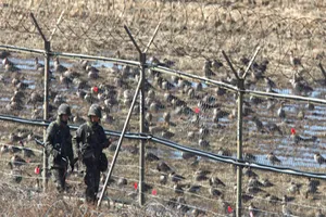 Triều Tiên tăng cường cài mìn ở Khu phi quân sự liên Triều