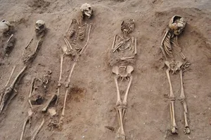 Phát hiện 48 bộ xương chứa bí ẩn về 'cái chết đen'