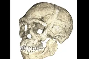 Con người xuất hiện 300.000 năm xưa hơn ta tưởng?